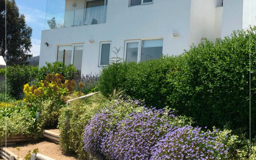 Venta  o Arriendo en Condominio Terramar, Marbella Nº98